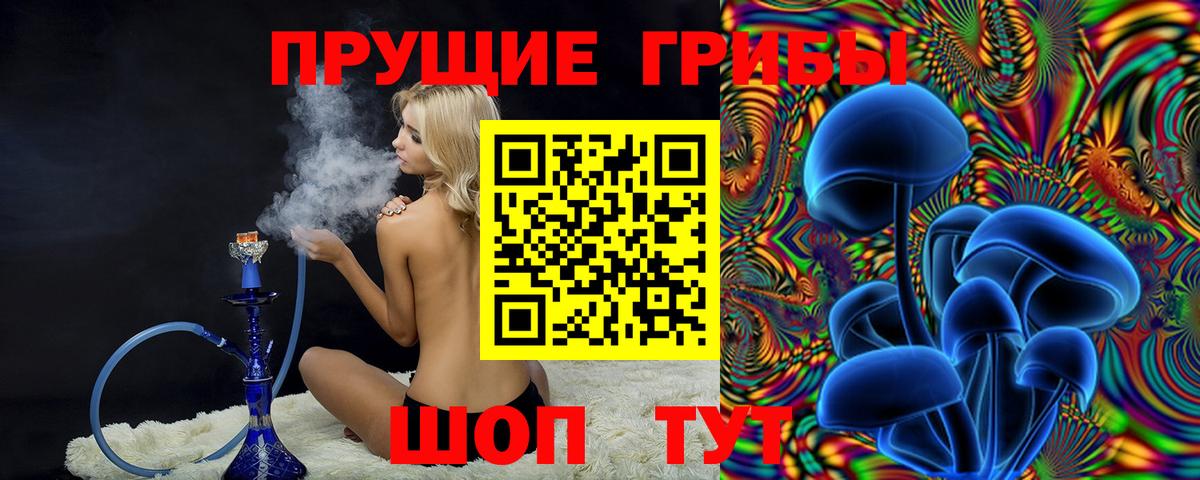 Галлюциногенные грибы Psilocybine cubensis  Псилоцибиновые грибы MAGIC MUSHROOMS  Вход с VPN  Анжеро-Судженск 