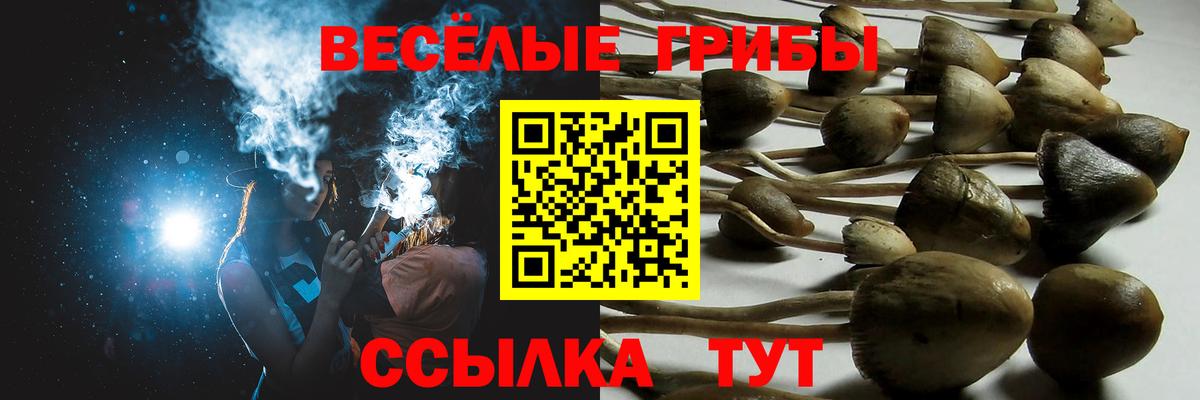 Галлюциногенные грибы GOLDEN TEACHER Анжеро-Судженск